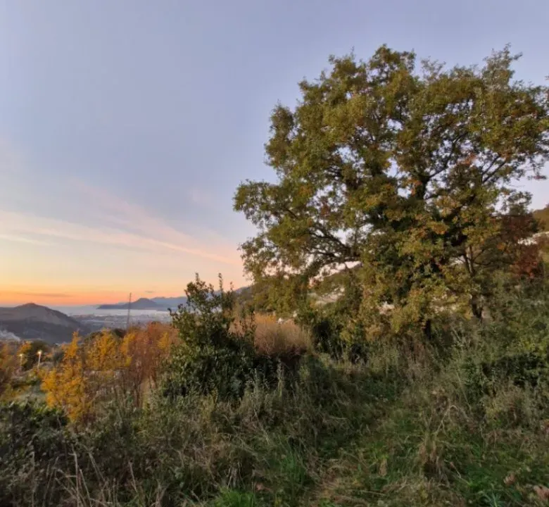 Prodaja, plac, 592m², Dobre Vode, Bar