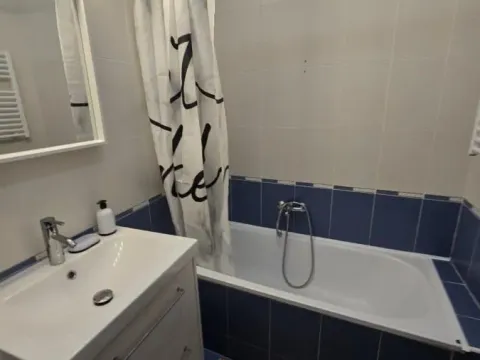 Izdavanje, jednosoban stan, 43m², Jodna Banja, Novi Sad Sve Podlokacije - image 13