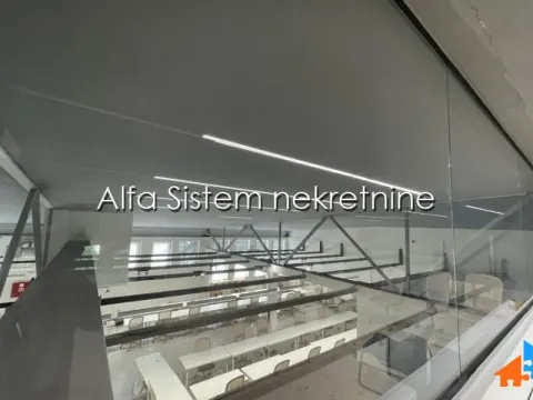 Izdavanje, poslovni prostor, 2000m², Voždovac Sve Podlokacije, Beograd - image 11