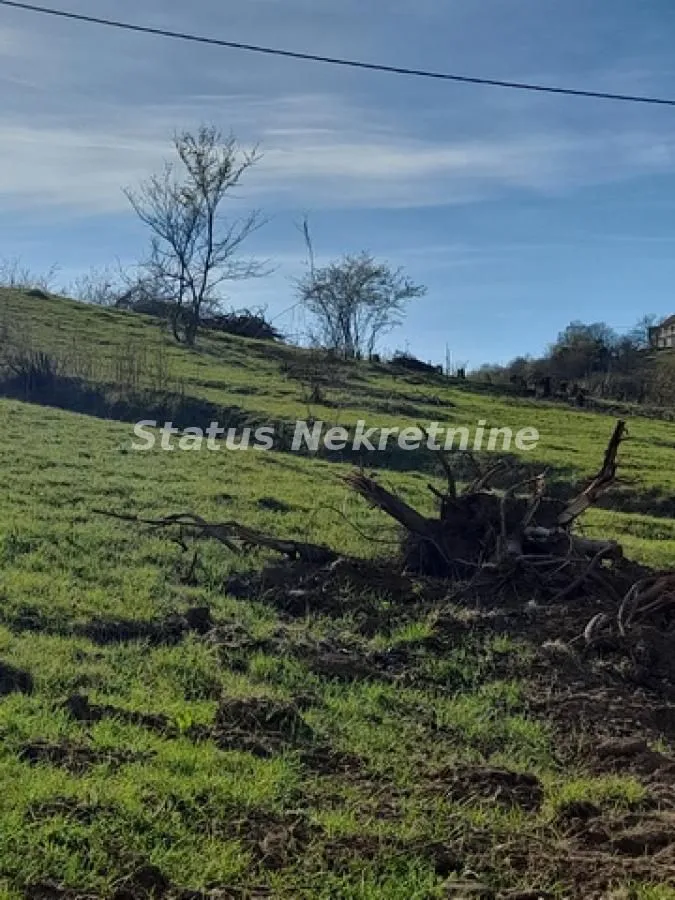 Prodaja, plac, 1544m², Sremska Kamenica, Petrovaradin