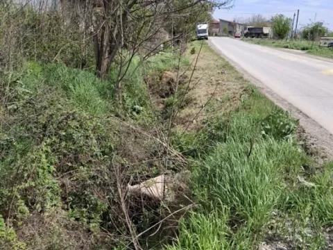 Sale, land lot, 1000m², Surčin, Beograd - image 1