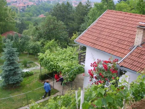 Prodaja, kuća, 64m², Sremska Kamenica, Petrovaradin - image 7