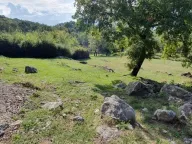 Sale, land lot, 2500m², Trebešin, Herceg Novi - image 2