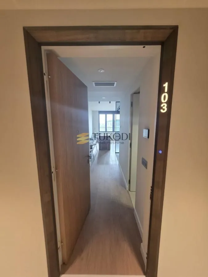 Rent, one bedroom apartment, 33m², Novi Beograd Sve Podlokacije, Beograd