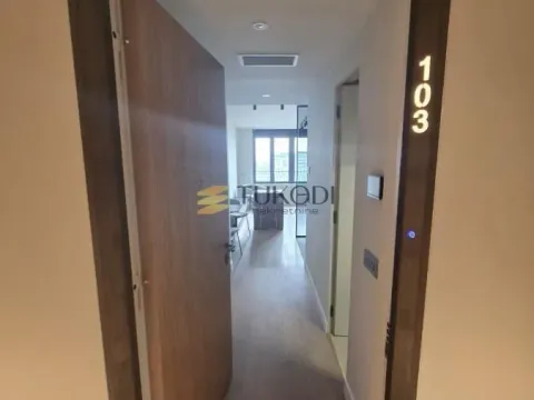 Izdavanje, jednosoban stan, 33m², Novi Beograd Sve Podlokacije, Beograd - image 6