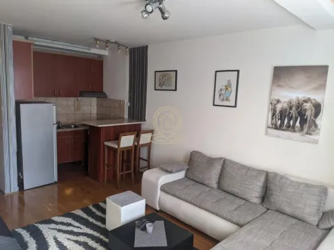 Rent, two bedroom apartment, 47m², Bulevar Oslobodjenja, Novi Sad Sve Podlokacije - image 4