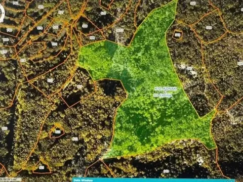 Prodaja, plac, 35572m², Cetinje, Crna Gora