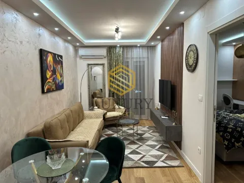 Izdavanje, jednosoban stan, 45m², Central Point, Podgorica - image 1