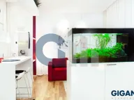 Prodaja, stan, 250m², Savski Venac, Beograd - image 3