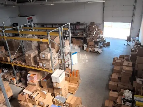 Izdavanje, poslovni prostor, 860m², Zemun Sve Podlokacije, Beograd - image 6