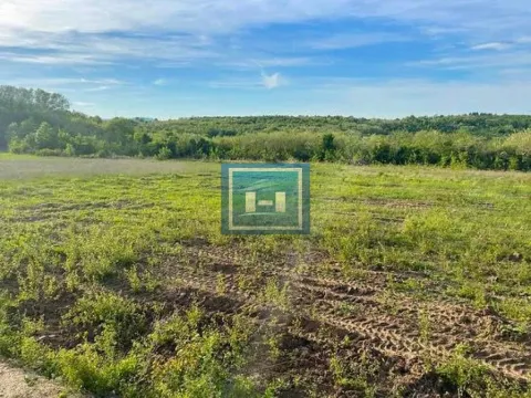 Prodaja, plac, 18727m², Lipar, Jagodina - image 4