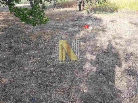 Prodaja, plac, 600m², Petrovaradin, Novi Sad - image 6