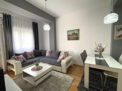 Rent, one bedroom apartment, 45m², Ljubović, Podgorica - image 3