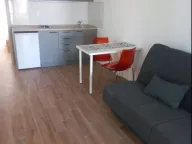Izdavanje, jednosoban stan, 45m², Petrovaradin, Novi Sad - image 1