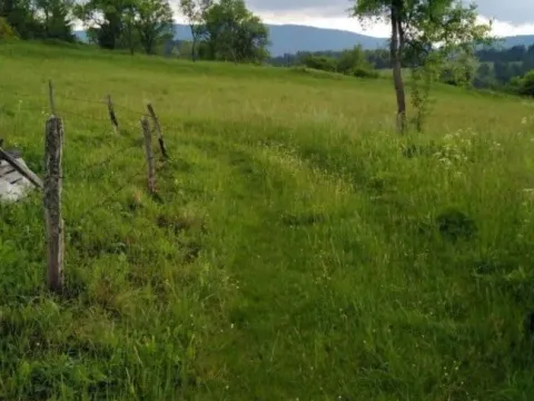 Prodaja, plac, 1460m², Kremna, Užice - image 8