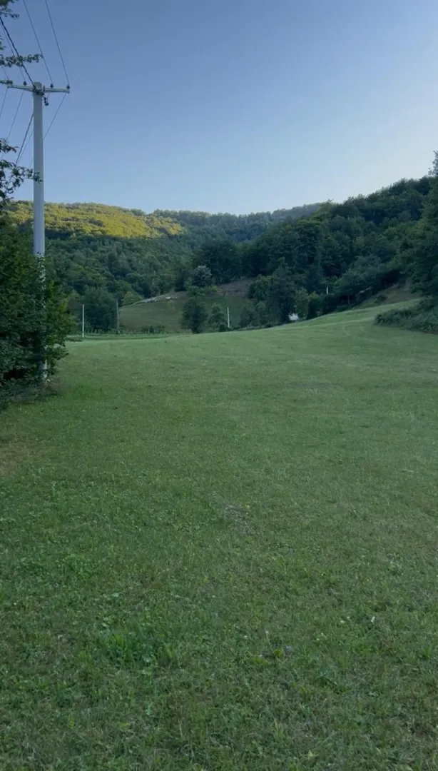 Pogled na zelenu livadu i šumu u prirodnom okruženju.