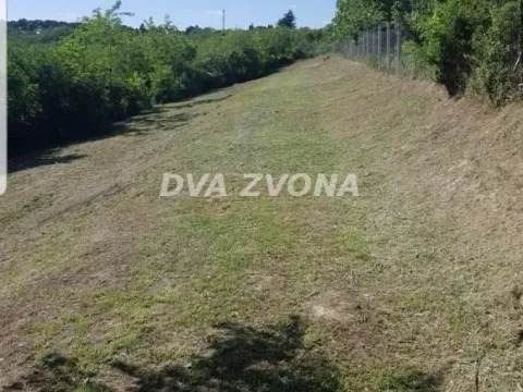 Prodaja, plac, 2500m², Čortanovci, Inđija - image 2