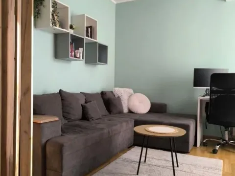 Rent, two bedroom apartment, 41m², Salajka, Novi Sad Sve Podlokacije - image 3