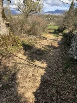 Seoski put sa drvećem i pogledom na prirodu i planine. - image 4