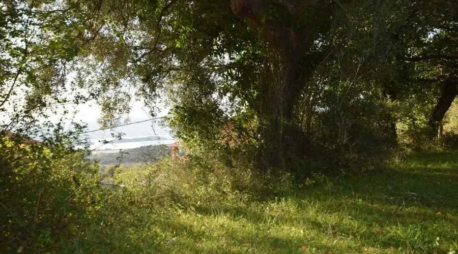 Zeleni plac sa drvećem i pogledom na more u daljini.