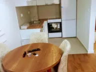 Izdavanje, jednosoban stan, 46m², Stari Aerodrom, Podgorica - image 4