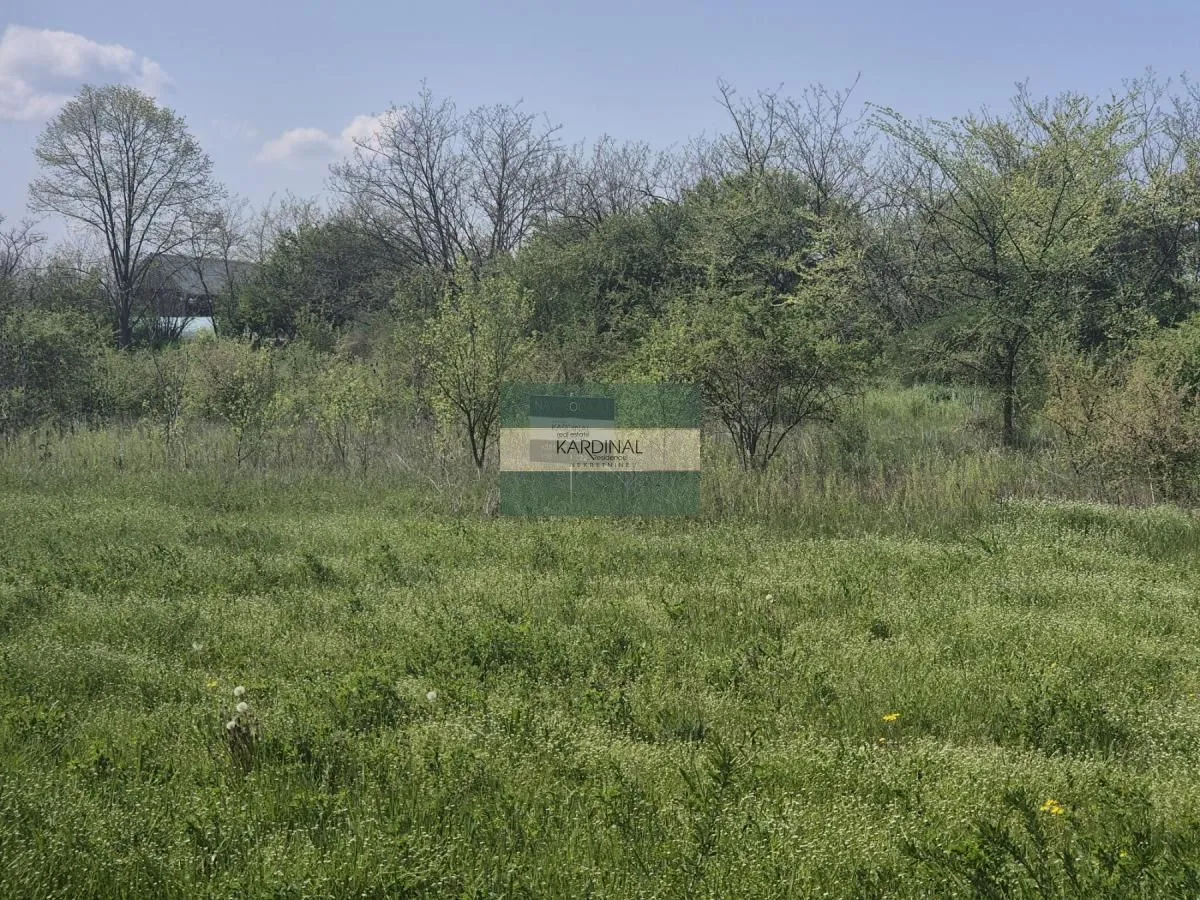 Prodaja, plac, 2273m², Vinorača, Jagodina