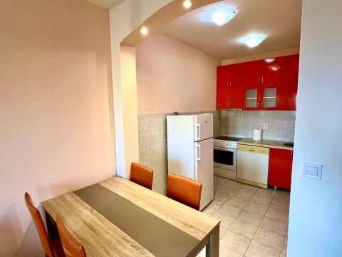 Izdavanje, jednosoban stan, 38m², Pobrežje, Podgorica - image 4