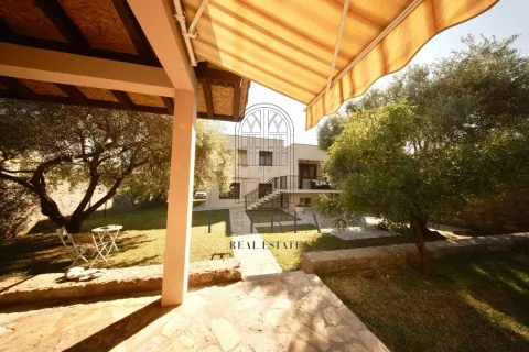 View of the house and green garden from the yard. - image 19
