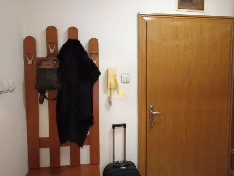 Izdavanje, jednosoban stan, 30m², Nova Detelinara, Novi Sad Sve Podlokacije - image 4