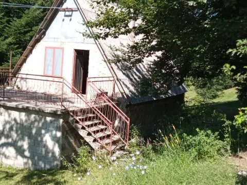 Prodaja, plac, 43000m², Šavnik, Crna Gora - image 3