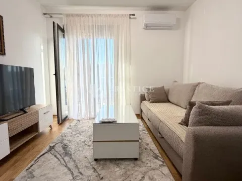 Izdavanje, jednosoban stan, 40m², Zabjelo, Podgorica - image 1