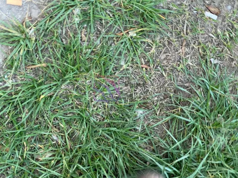 Rent, four bedroom apartment, 125m², City Kvart, Podgorica - image 29