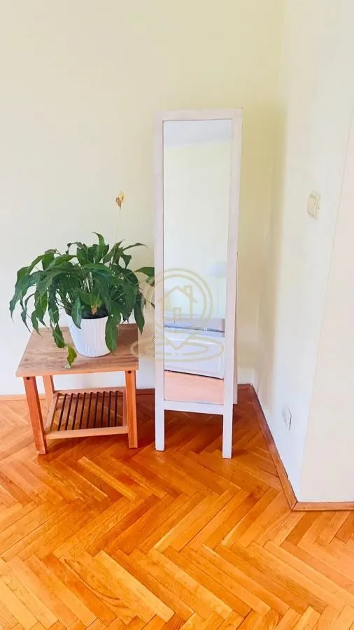 Izdavanje, dvosoban stan, 66m², Slavija, Vračar Sve Podlokacije