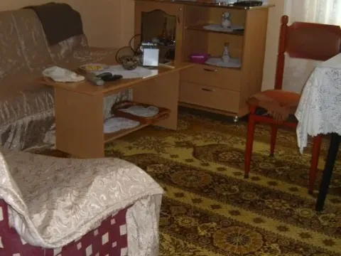 Prodaja, kuća, 360m², Tabane, Jagodina - image 3