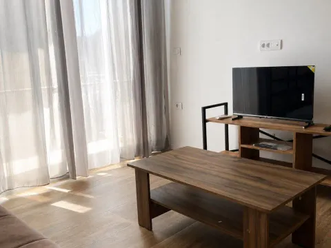 Stan-na-dan, jednosoban stan, 40m², Ulcinjsko Polje, Ulcinj - image 6