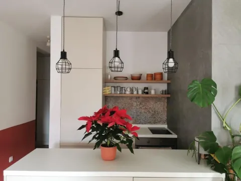 Rent, one bedroom apartment, 38m², Mirijevo Sve Podlokacije, Beograd - image 5