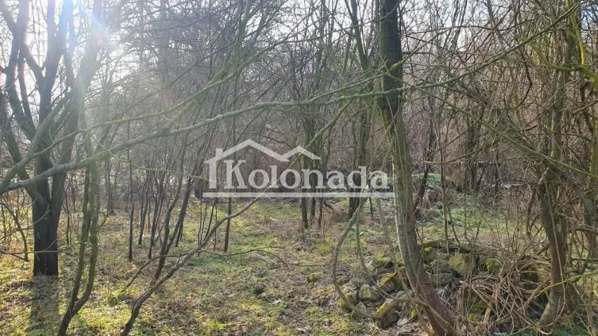 Prodaja, plac, 2500m², Sopot, Beograd