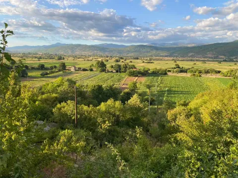 Prodaja, kuća, 134m², Ozrinići, Nikšić - image 4