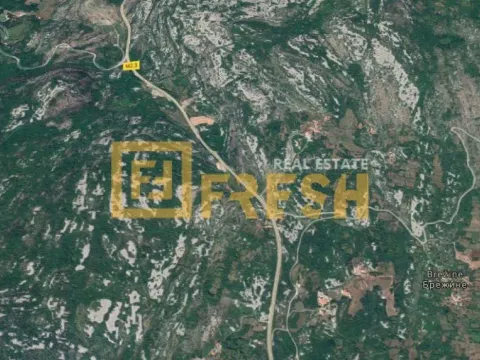 Prodaja, plac, 5000m², Ostalo, Podgorica - image 2