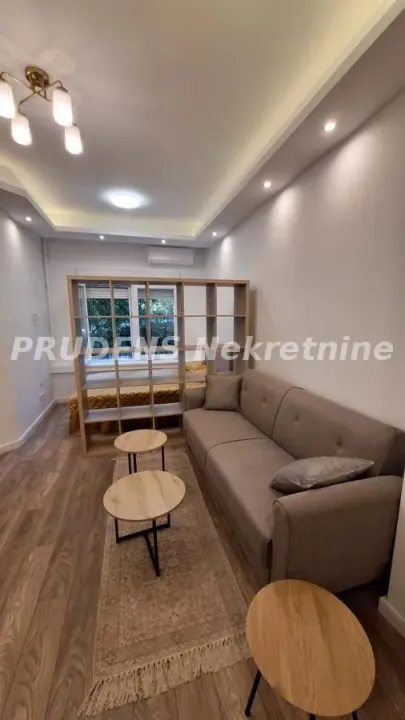 Rent, one bedroom apartment, 37m², Novi Beograd Blok 63, Novi Beograd Sve Podlokacije
