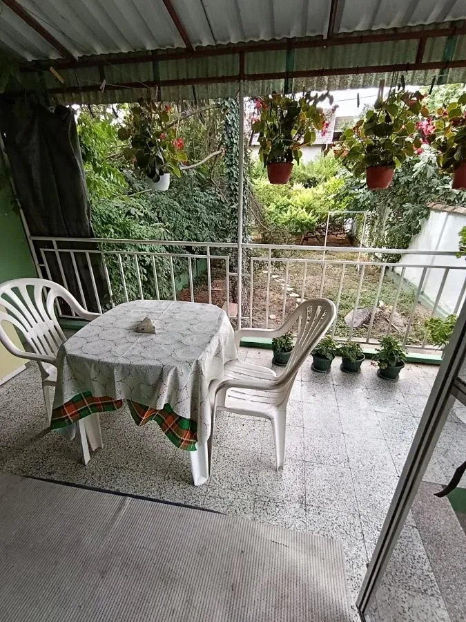 Natkrivena terasa sa stolom, stolicama i pogledom na dvorište puno zelenila.