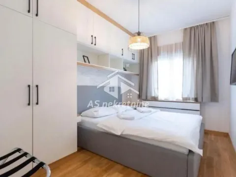 Rent, two bedroom apartment, 43m², Novi Beograd Sve Podlokacije, Beograd - image 14