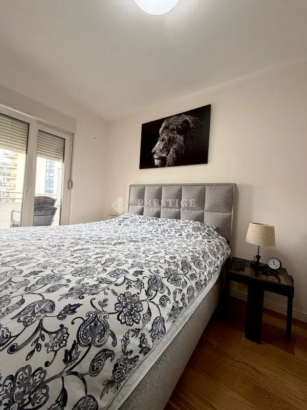 Rent, one bedroom apartment, 47m², Central Point, Podgorica