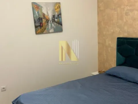 Rent, two bedroom apartment, 45m², Veternik, Novi Sad Sve Podlokacije - image 9