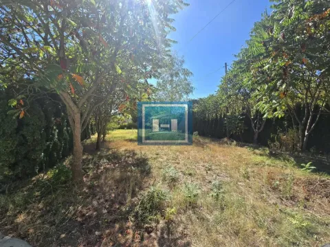 Prodaja, poslovni prostor, 482m², Vladičin Han, Srbija - image 9