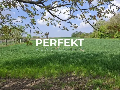 Prodaja, kuća, 69m², Pančevo, Srbija - image 5