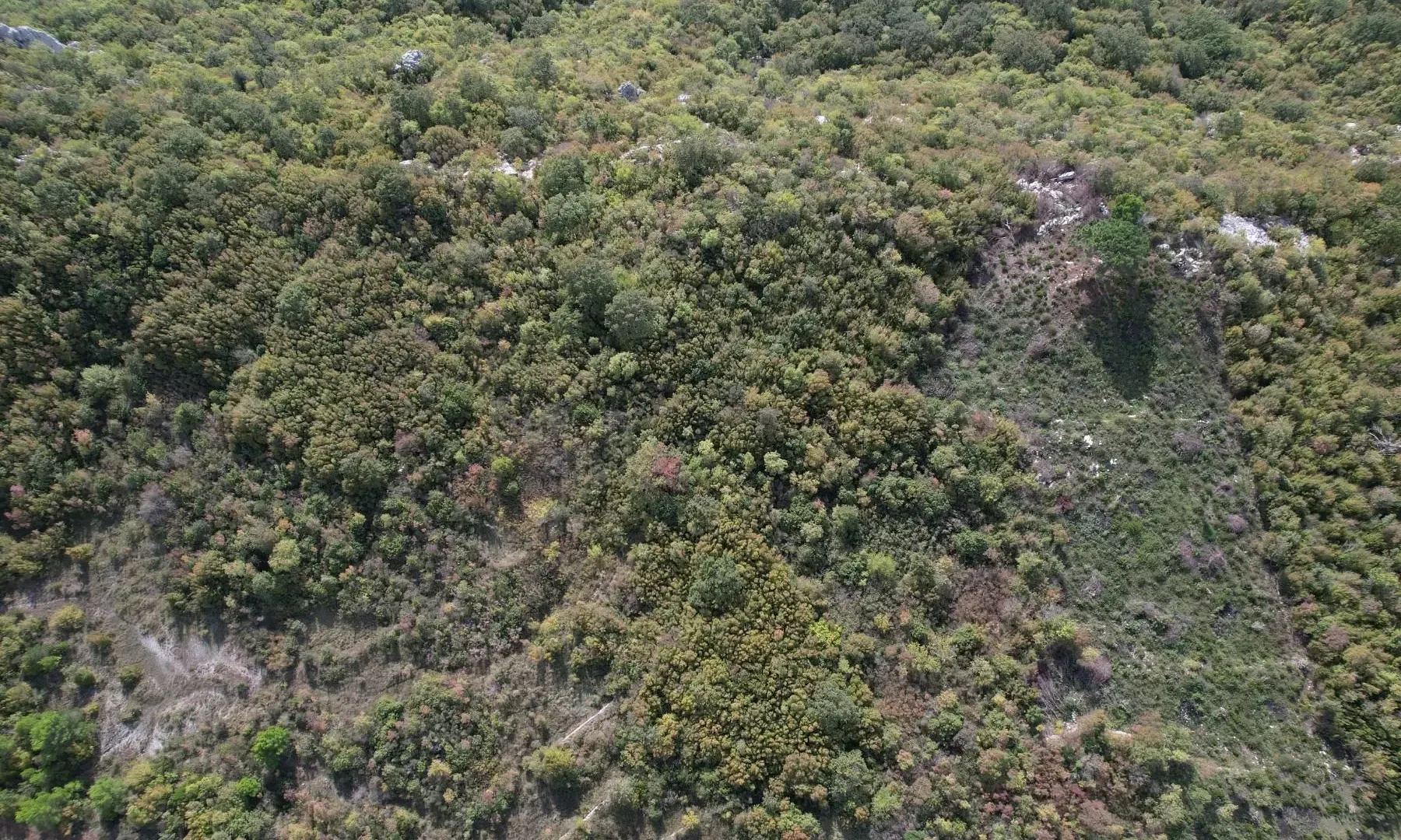 Prodaja, plac, 4000m², Lapčići, Budva