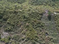 Sale, land lot, 4000m², Lapčići, Budva - image 5