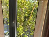 Izdavanje, jednosoban stan, 45m², Centar, Podgorica - image 11