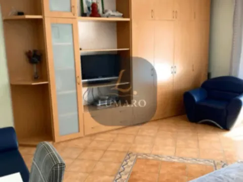 Sale, studio apartment, 40m², Rozino, Budva - image 2